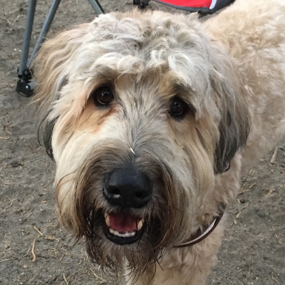 Hi, I'm Teddy